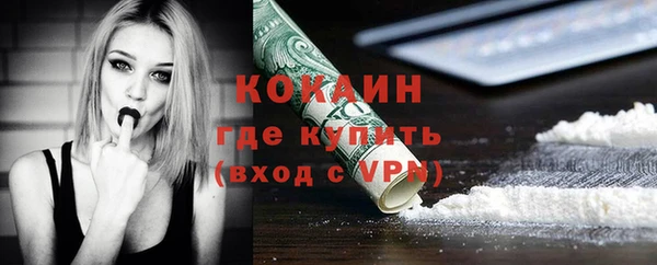 прущие грибы Балахна