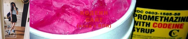 прущие грибы Балахна