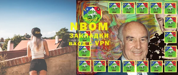 прущие грибы Балахна