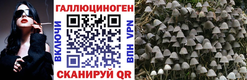 МЕГА как войти  Борисоглебск  Псилоцибиновые грибы мухоморы 